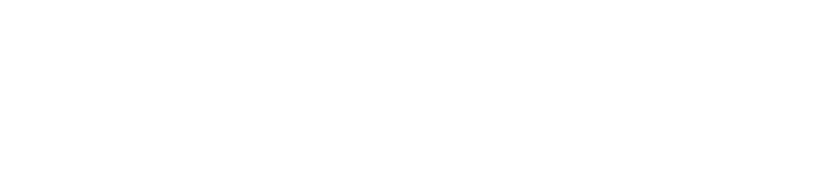 Veise Electronics